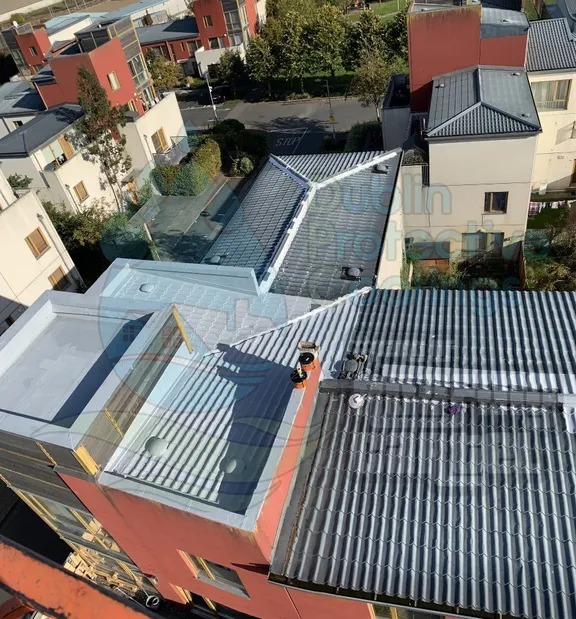 Cherry Orchard, Dublin - restored roof
