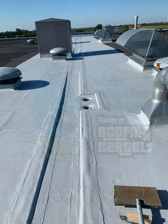Commercial unit, Carlow - restored roof