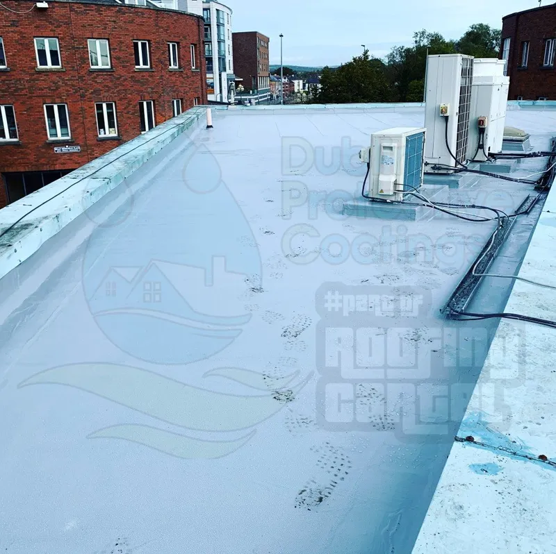 Pharmaceutical company, Kilkenny - restored roof