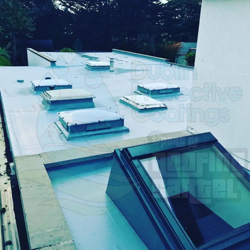 Restored flat roof with skylight domes on a private home in Dublin